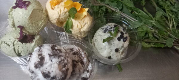 Ice Creams Workshop (2 Days, Season 2) by Ani Setia - Image 4